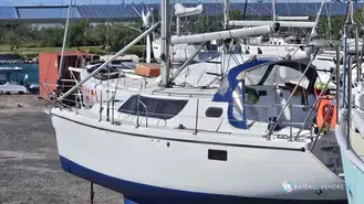 Wrighton Biloup 36