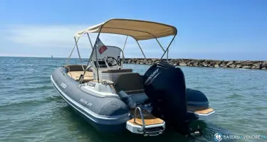 Salpa Soleil 20