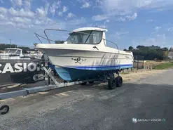 Balt Arvor 20