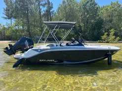 Bayliner M17