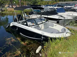 Bayliner M17