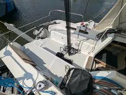 Dragonfly  28