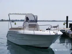 Mingolla Brava 22