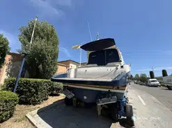 Cayman  43 WA