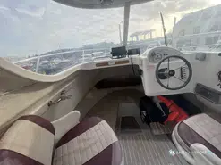 Arvor  210