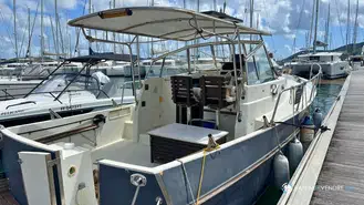 Rhea  850