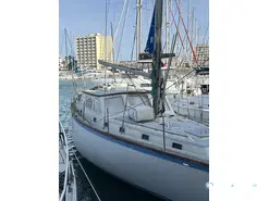 Wauquiez Antigua 37