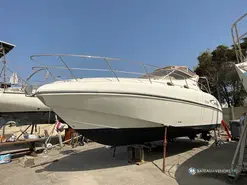 Salpa Laver 31.5