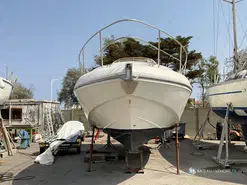 Salpa Laver 31.5