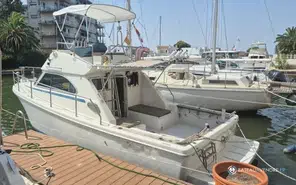 Mochi Caiman 30