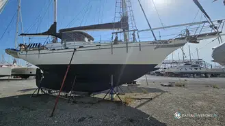 Transworld TW41