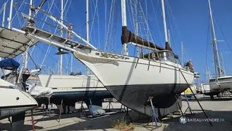 Transworld TW41