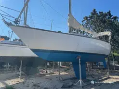 Olympic Carter 33