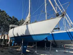 Olympic Carter 33