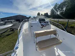 White Shark  228