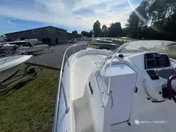 White Shark  228