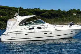 Cruisers  440