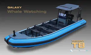 Galaxy Trident T8