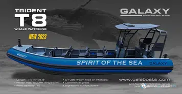Galaxy Trident T8