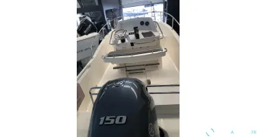 White Shark  210 CC Origin
