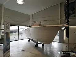 White Shark  230 CC Origin