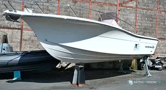 White Shark  230 CC Origin