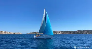Maree Haute Django 770
