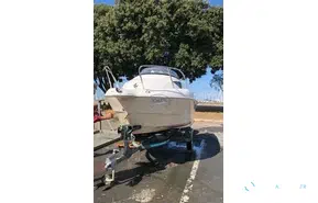 Quicksilver  460 Cruiser