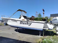 Dusky Fisherman 233