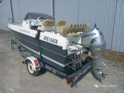 B2 Marine Cap Ferret 502 Day Cruiser