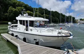 Sargo  31
