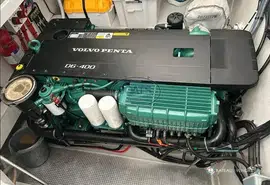 Sargo  31