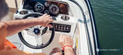 Bayliner D22