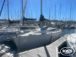 Delphia  29