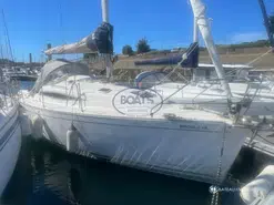 Delphia  29