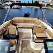 Sea Ray  210 SPX OB