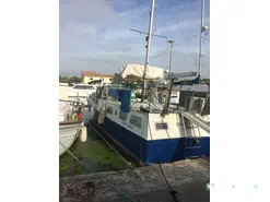 Jonkers Paans Vedette 14m