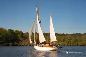 Gill and Sons Yacht Classique