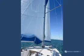 Mintyachts Icemint 40