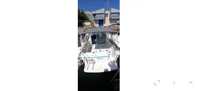 Ocqueteau  625 Croisiere