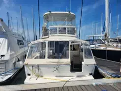 Caribbean Fishing 40