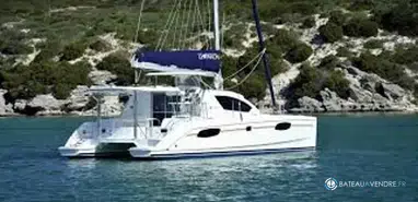 Robertson And Caine Leopard 39
