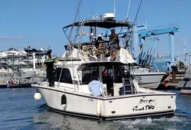 Black Fin  38 Flybridge