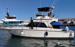 Black Fin  38 Flybridge