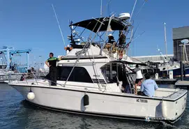 Black Fin  38 Flybridge