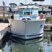 Delphia  1050 Escape