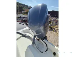 Seaswirl Striper 2300 WA