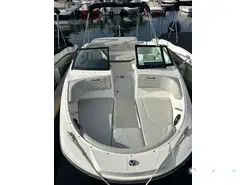 Sea Ray  190 SPX