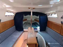 Imexus imexus 28