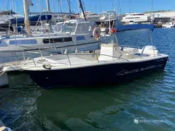 White Shark  215